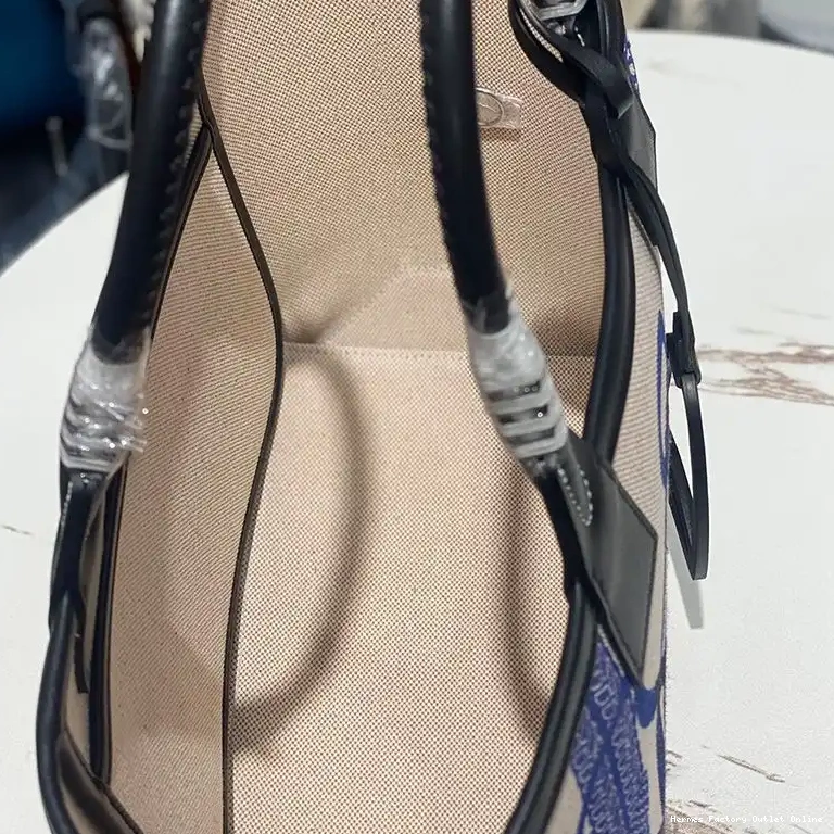 Affordable Plume Beige Bag In Fantaisie 25 Hermes with Blue H Motif Canvas d'Etriers Steeple 0418